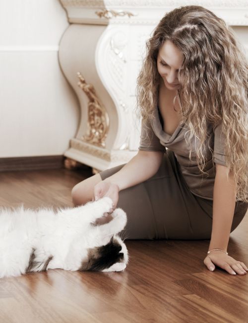 Vacation Cat Sitting​ Service in Westfield & Carmel​